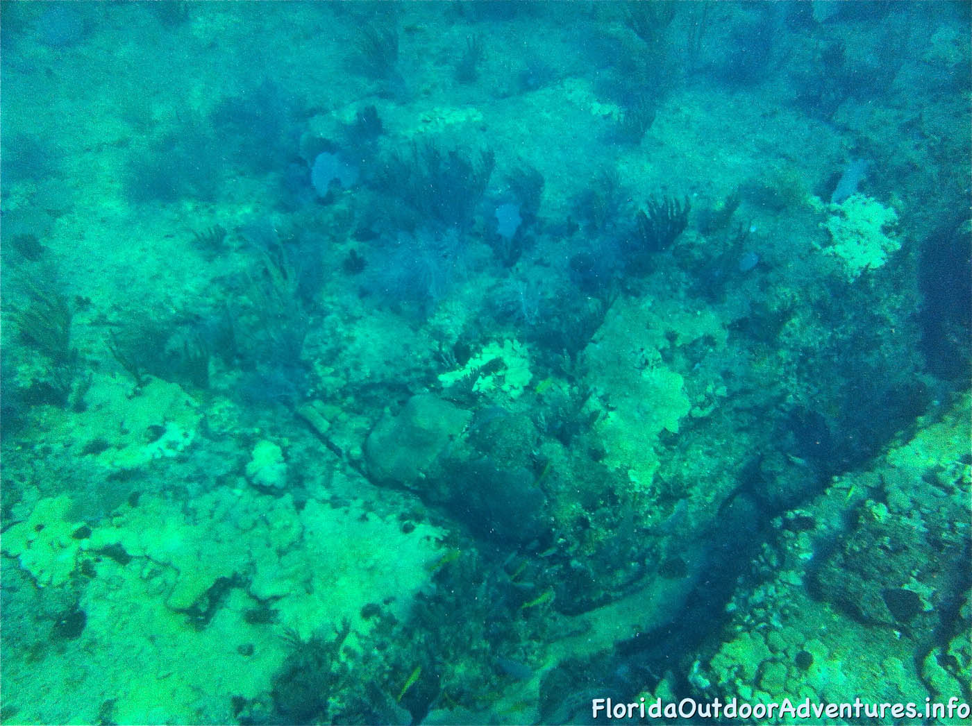 floridaoutdooradventures.info-05.jpg