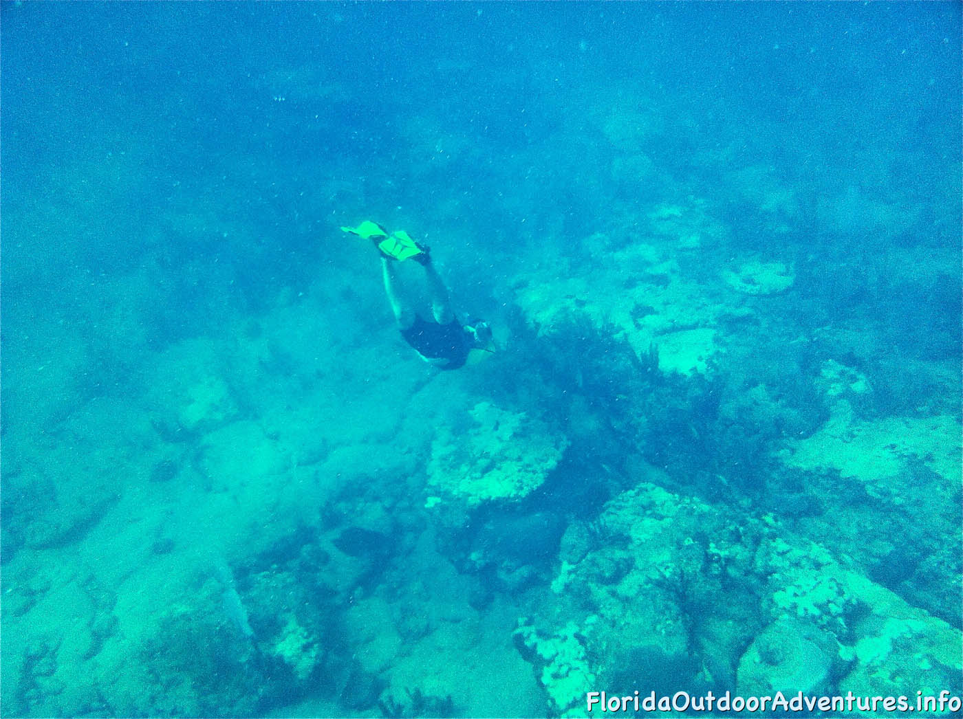 floridaoutdooradventures.info-11.jpg