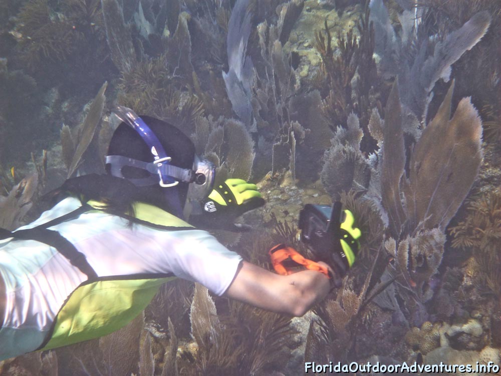 floridaoutdooradventures.info-03.jpg