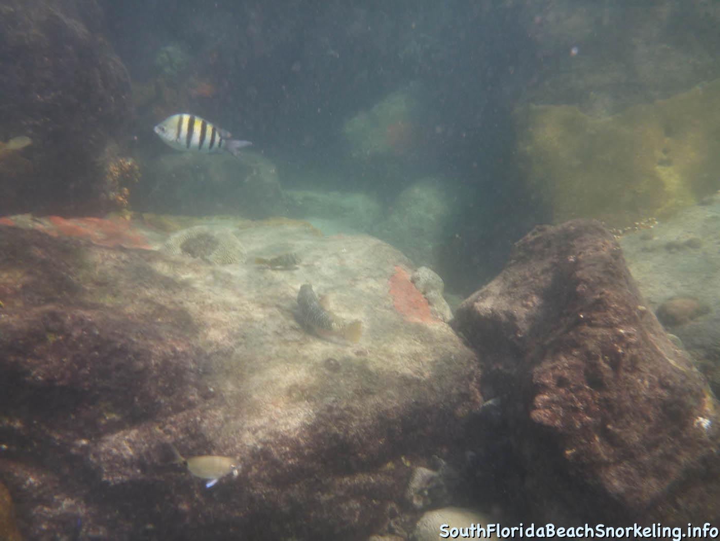 South_Side_Jetty_of_Port_of_Palm_Beach-southfloridabeachsnorkeling.info-02.jpg