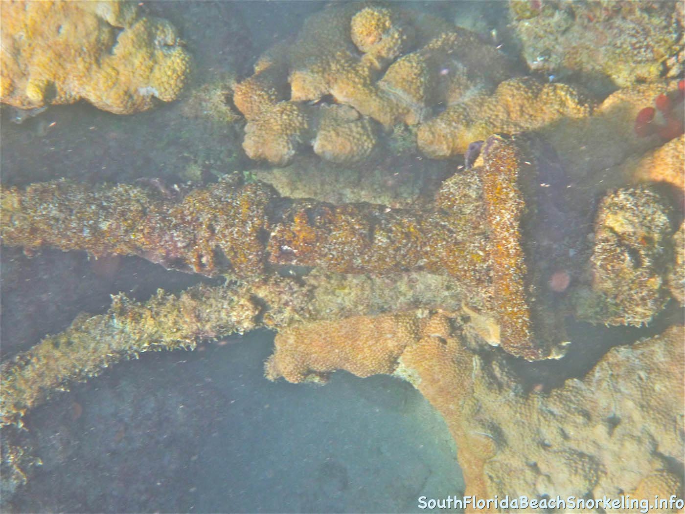 First_Snorkel_of_2012-08.jpg