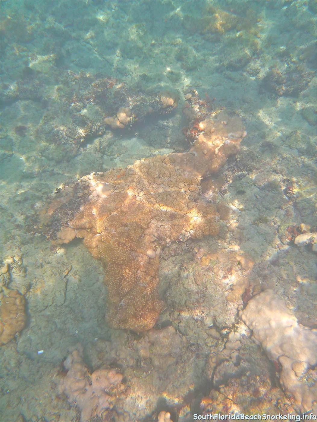First_Snorkel_of_2012-14.jpg